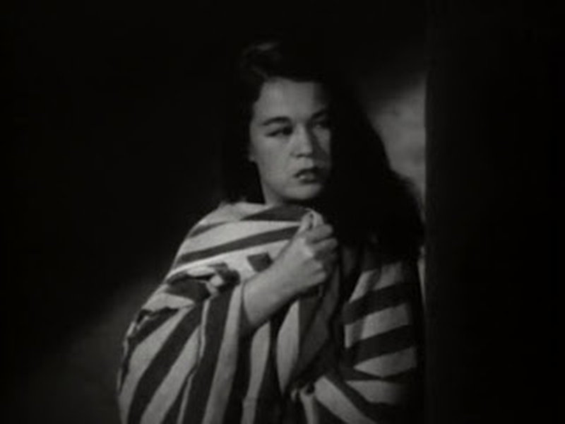 Foto 10 de Um Ianque na Líbia