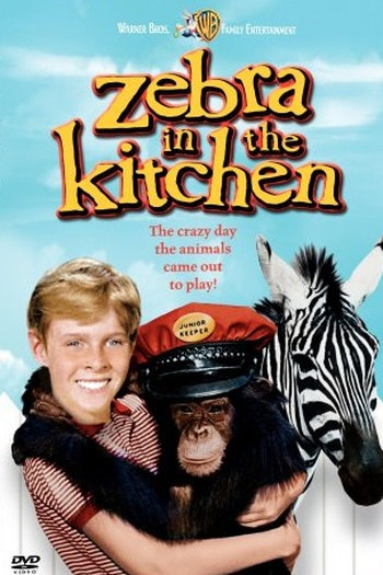 Poster de Filme O Menino e a Onça (1965)