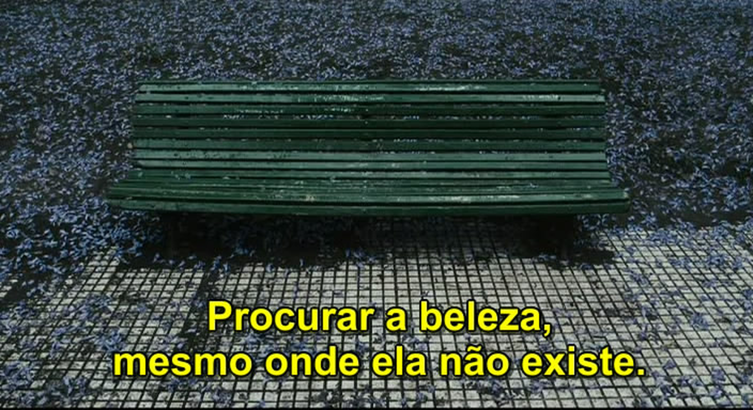 Daniel Moreira - Foto 5