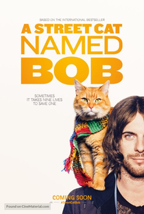 Um Gato de Rua Chamado Bob - Poster / Capa / Cartaz - Oficial 1