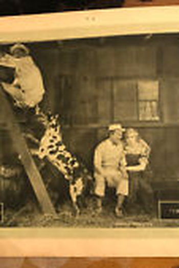  de Curta Dias campestres (1928)