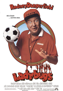 Um Time Bom de Bola (Ladybugs)