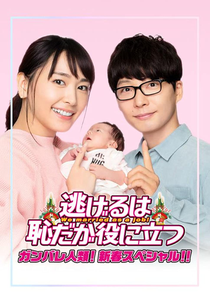 Nigeru wa Haji da ga Yaku ni Tatsu Ganbare Jinrui! Shinshun Special!! (逃げるは恥だが役に立つ ガンバレ人類！新春スペシャル!!)