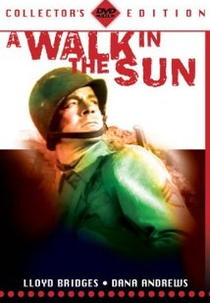 Um Passeio ao Sol (A walk in the Sun)