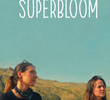 Superbloom