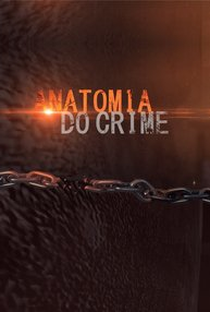 Anatomia do Crime (2ª Temporada) - Poster / Capa / Cartaz - Oficial 2