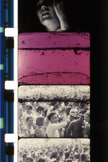 Poster de Curta New Left Note (1982)