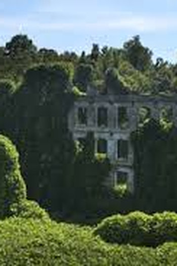  de Filme Kudzu (1977)