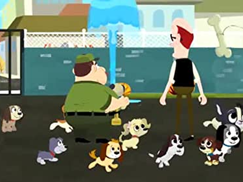 Foto 7 de Cãezinhos do Canil