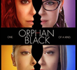 Orphan Black (2ª Temporada)