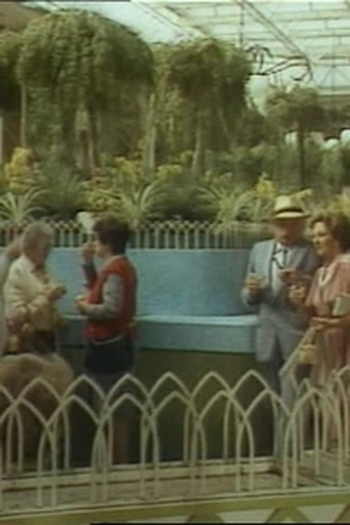 Poster de Episódio Maigret in Vichy (1984)