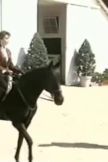 Poster de Episódio Body Trouble (1988)