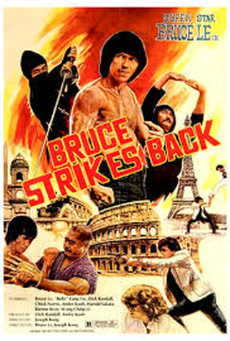 Poster 1 de Filme The Ninja Strikes Back (1982)