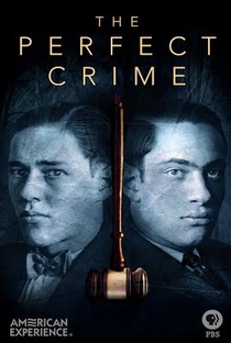 O Crime Perfeito - Poster / Capa / Cartaz - Oficial 1