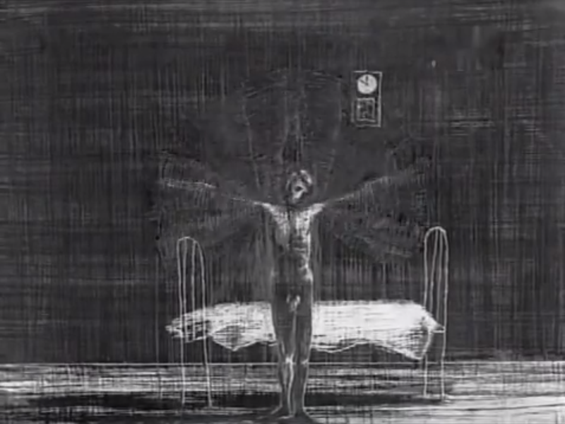 Foto 10 de Wolnosc Nog