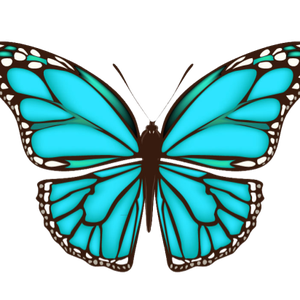 Foto de perfil de Janaina