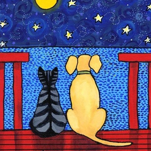 Foto de perfil de Lucas Pepe