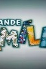 A Grande Família (9ª Temporada) (A Grande Família (9ª Temporada))