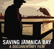 Saving Jamaica Bay