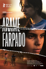 Arame Farpado (Arame Farpado)