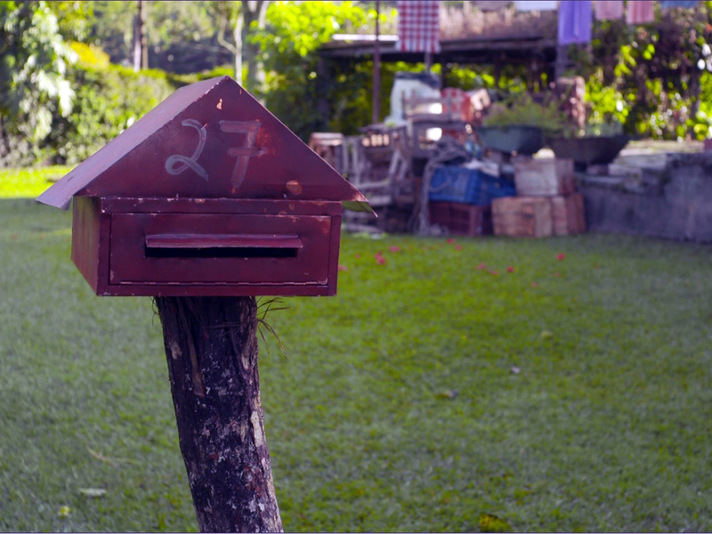 Foto 5 de Singelos Envelopes