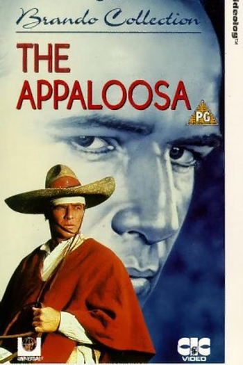  de Filme Sangue em Sonora (1966)