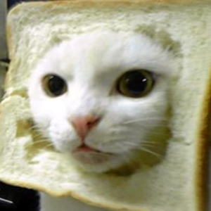 Foto de perfil de mayra