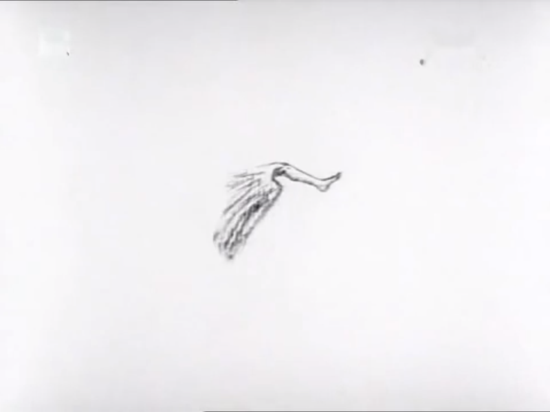 Foto 3 de Wolnosc Nog