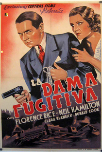 A Dama Fujitiva - Poster / Capa / Cartaz - Oficial 1