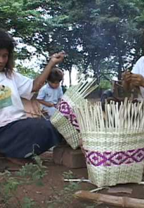Nós e a Cidade (Nós e a Cidade)