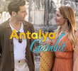 Gambit de Antália