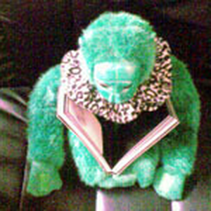 Foto de perfil de Macaca Verde