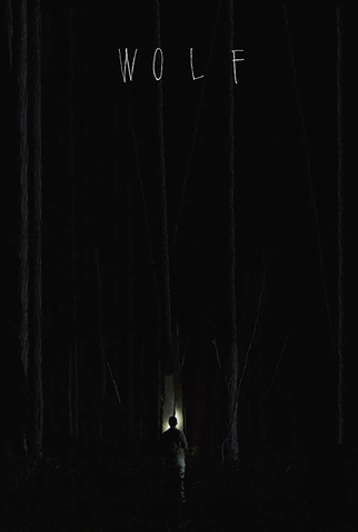 Poster 1 de Filme Lobo (2016)