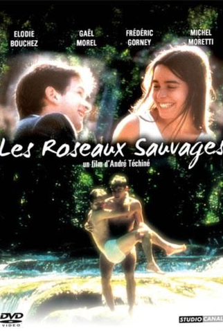 Poster 8 de Filme Rosas Selvagens (1994)