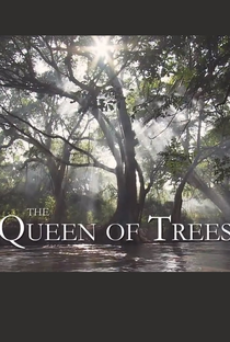 The Queen of Trees - Poster / Capa / Cartaz - Oficial 1