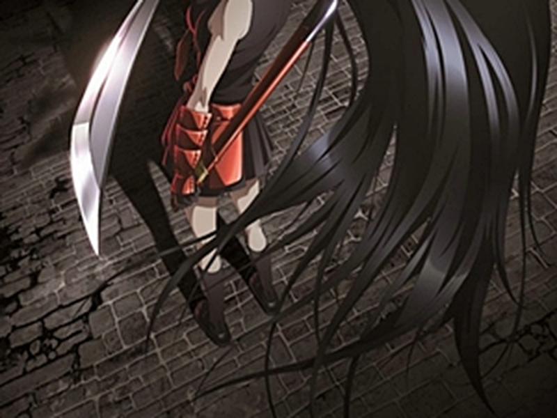 Foto 6 de Akame ga Kill!