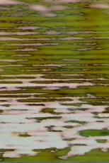 Mirror Road (Mirror Road)