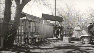 Trailer: Okraina 1998