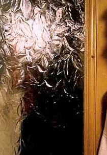 Um 20 Atrevido (A Cheeky 20)