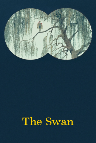 Poster 1 de Curta O Cisne (2023)