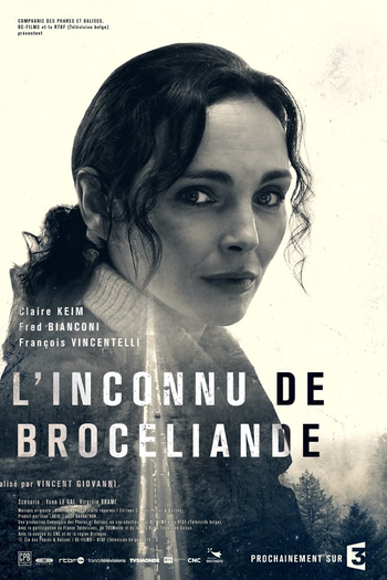 Poster de Filme L'Inconnu de Brocéliande (2016)