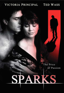 O Preço da Paixão (Sparks: The Price of Passion)