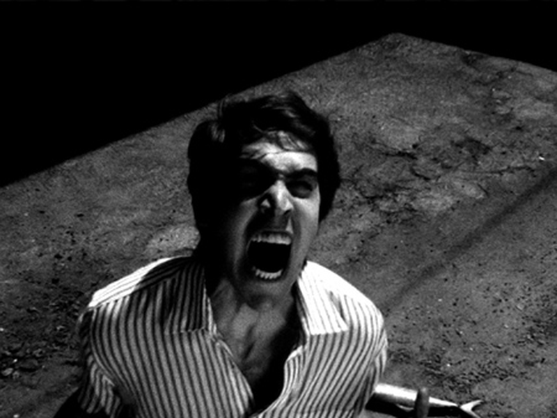 Foto 11 de The Beast Pageant 