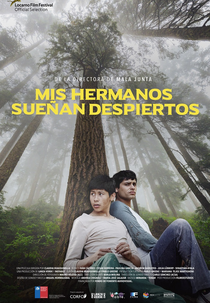 Meus Irmãos Sonham Acordados (Mis hermanos sueñan despiertos)