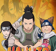 Naruto (5ª Temporada)