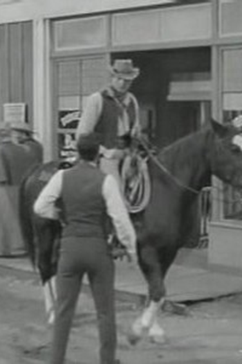 Poster de Episódio The Brothers (1966)