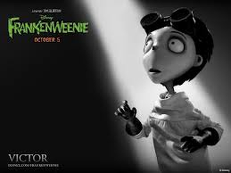 Foto 6 de Frankenweenie