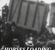 Horser Loading For Klondike