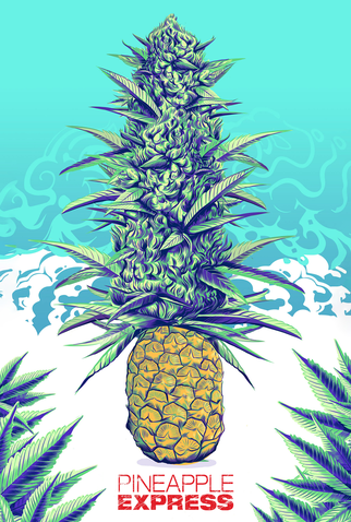 Poster 11 de Filme Segurando as Pontas (2008)