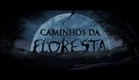 Caminhos da Floresta - Teaser Trailer